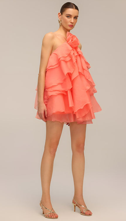 Rose Volanlı Mini Elbise