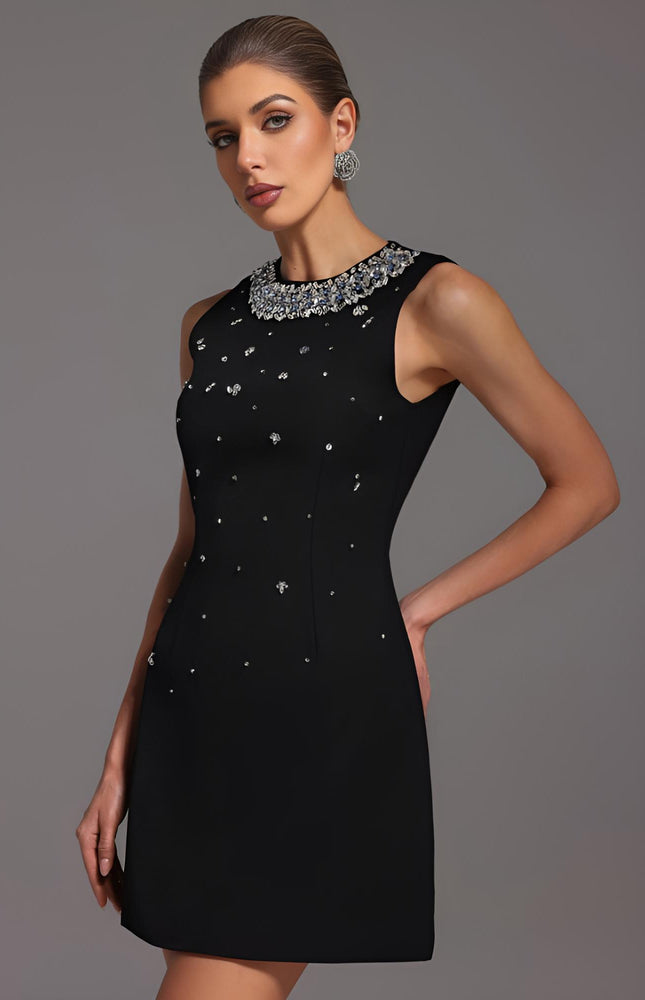 Noiré Kristal Mini Elbise
