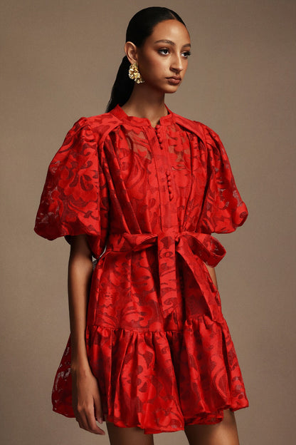 Çiçek Işıltısı Kemerli Elbise